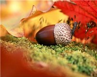 Нажмите для просмотра фотографии Нажмите для просмотра фотографии