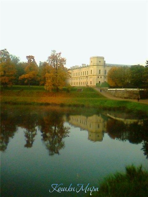 Утро у дворца