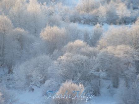 Мороз и солнце...
