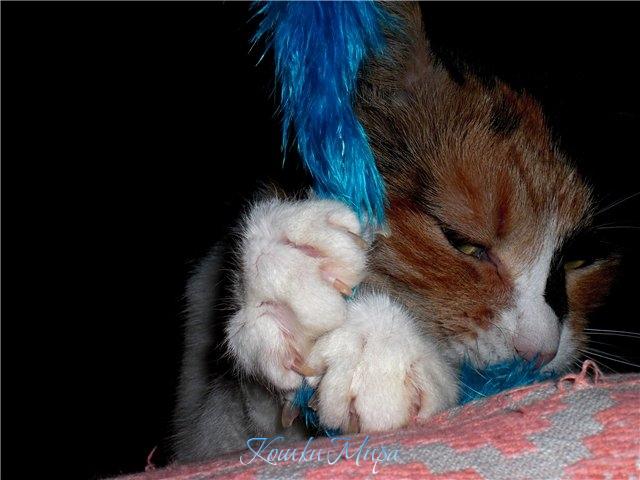 Вы не смотрите, что у меня маникюр, я и с ним вот как могу вцепиться!