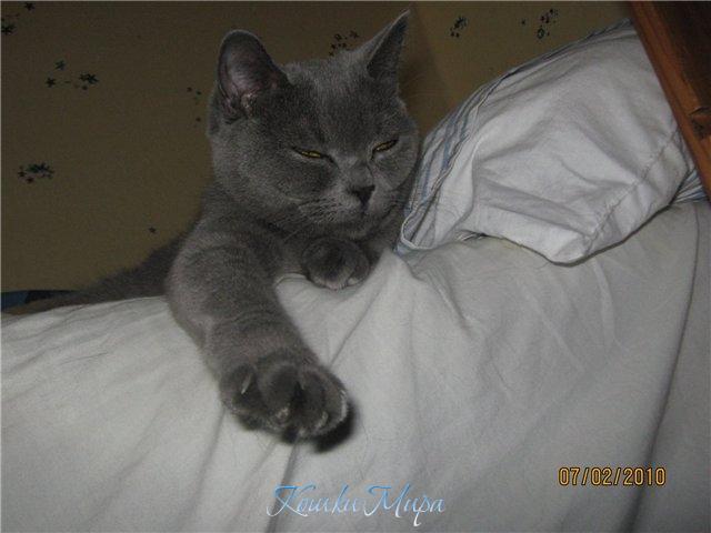 Ну как вам мой маникюр?