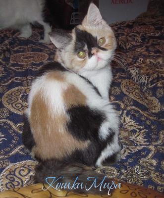 21 - И очень люблю фотографироваться!