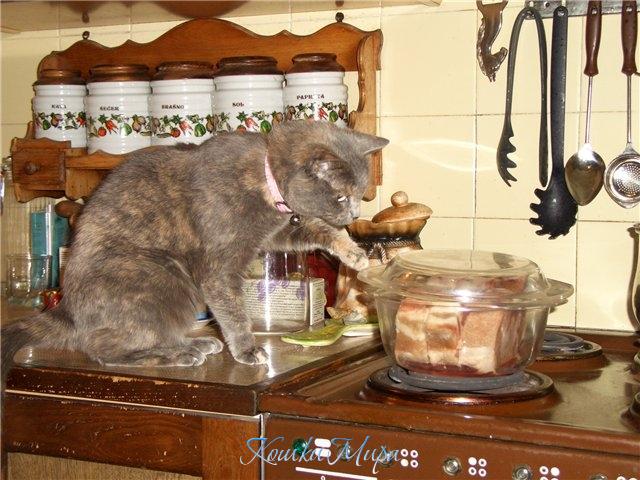 49 - ...и с мясом!