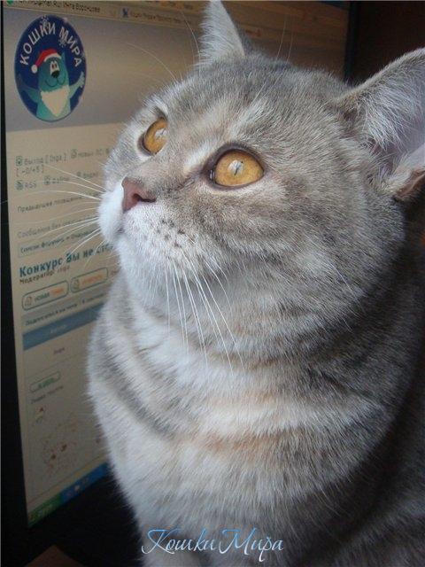 52 - Я мечтаю о тебе!