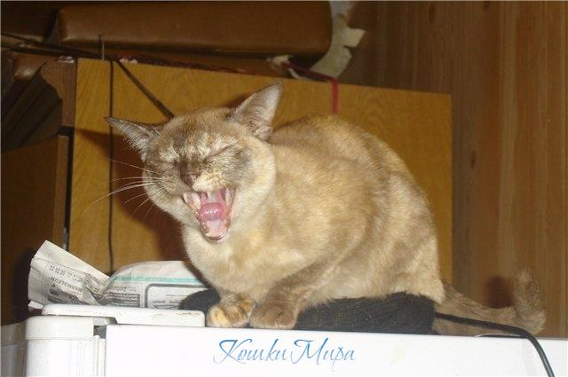 А моя любовь живет на 25-ом этаже...