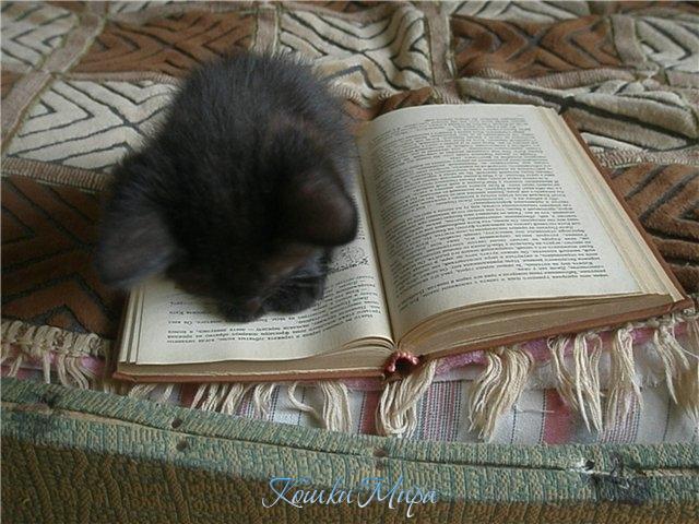 Что то у вас буковки маленькие!