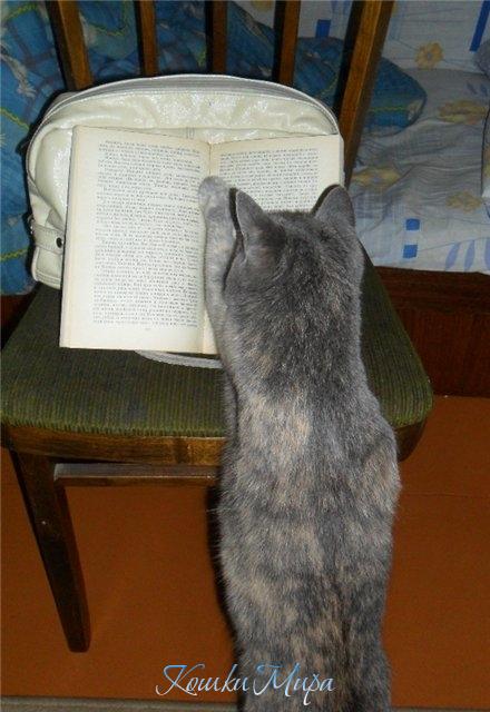 Эм, не подскажите, что это за буква? Какой сложный этот русский язык