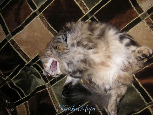 Ну вот поели, теперь можно и поспать