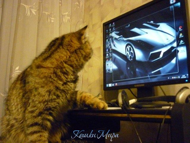 Ну, что, хозяева!? Как вам эта машинка! Берём???