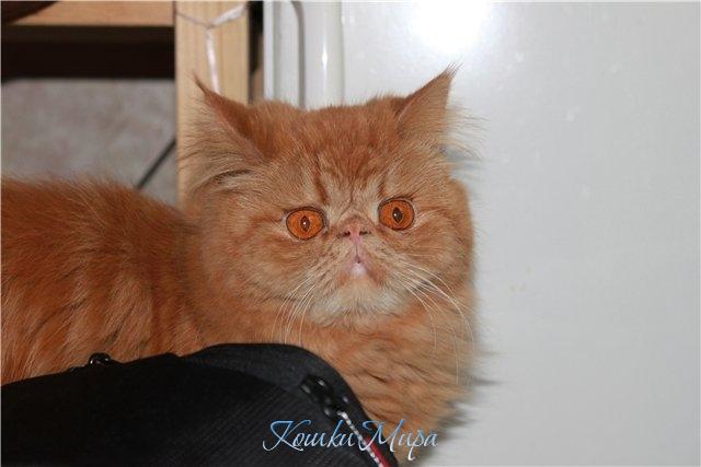 У страха глаза велики...