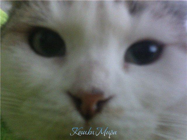 Посмотри в мои глаза..!