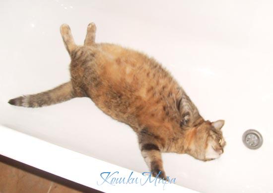 Люблю я ванну принимать