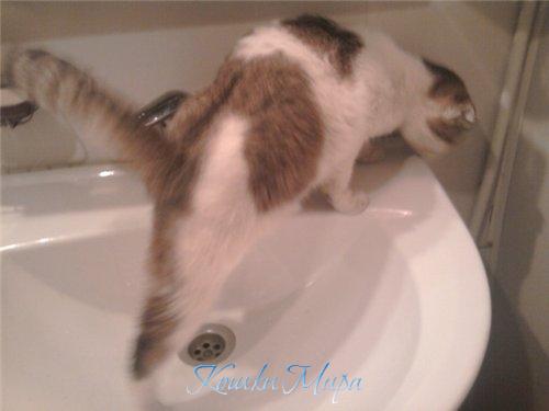 Перспектива "Зато ты будешь чистенькой" меня не устраивает!!!