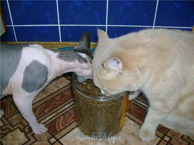 Неужели это можно все сьесть....?Попробуем...!!!!