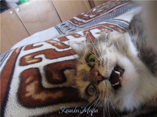 Cлышишь,лучше не зли меня, не зли...!