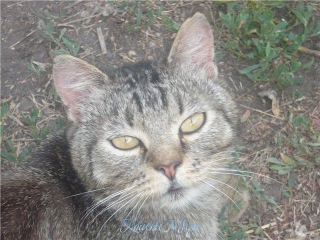 Что ты на меня смотришь, подруга моя?