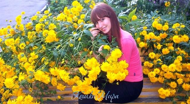 Хризантема-солнечный цветок