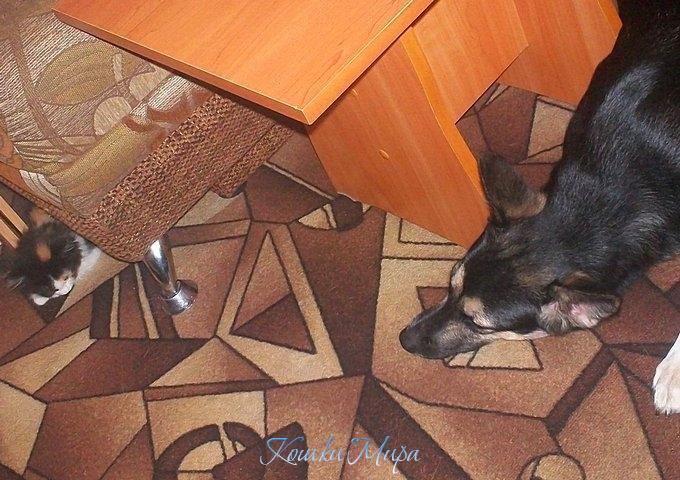 Игра в прятки