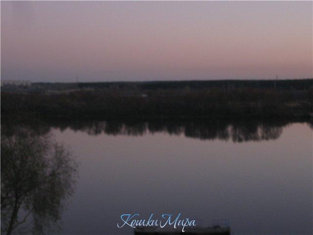 Река Ока (г.Коломна)