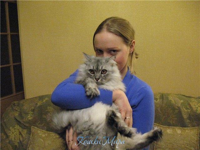 Фотопортрет с "весёлым" котиком!