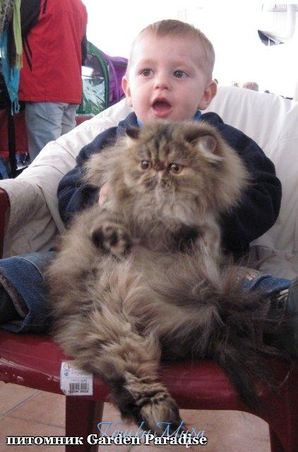 Я вот, с кошечкой на выставку пришел! Здесь очень интересно!