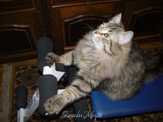 Ма-а-а-ам, а когда уже придет..