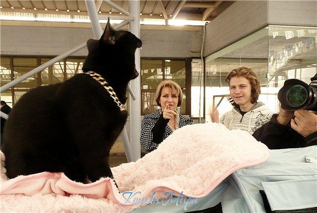 Вы не подумайте, я не зеваю...