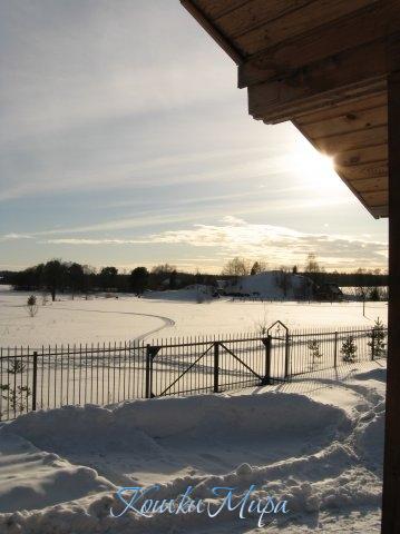 Знать вчера недаром кошка умывал