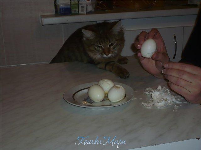 Может дадите одно, а?