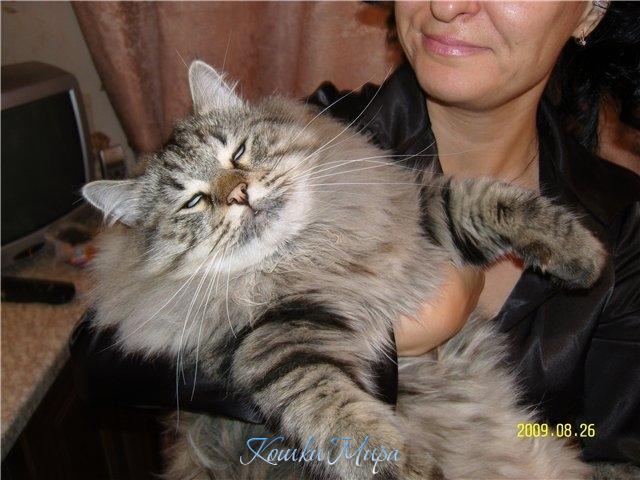 Как утомительно быть звездой!