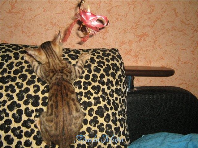 Тут правда кто-то есть?