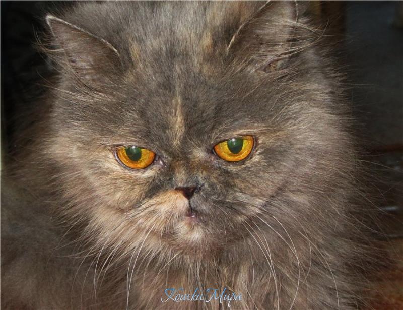 Не молода... но прекрасна