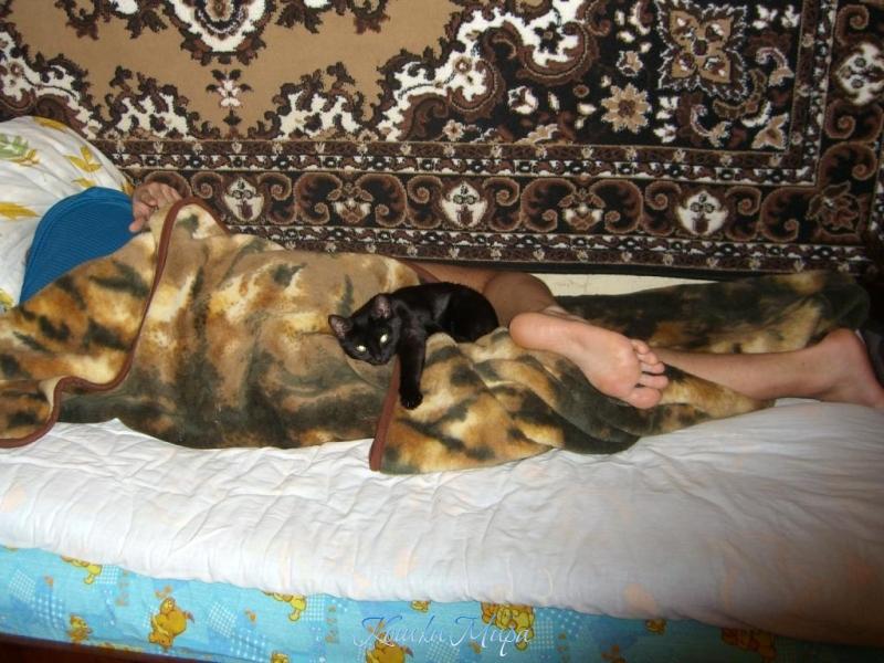 Лапка с лапкой :)