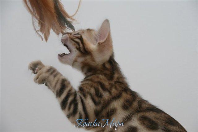 Я вспоминаю детство, и у меня заболевает нежностью сердце