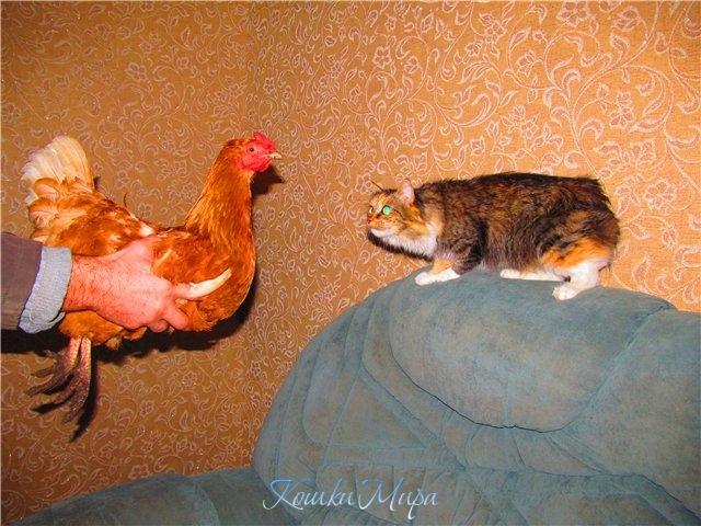 Мы с подружкой