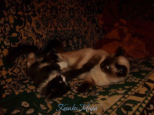 Немного тренировки