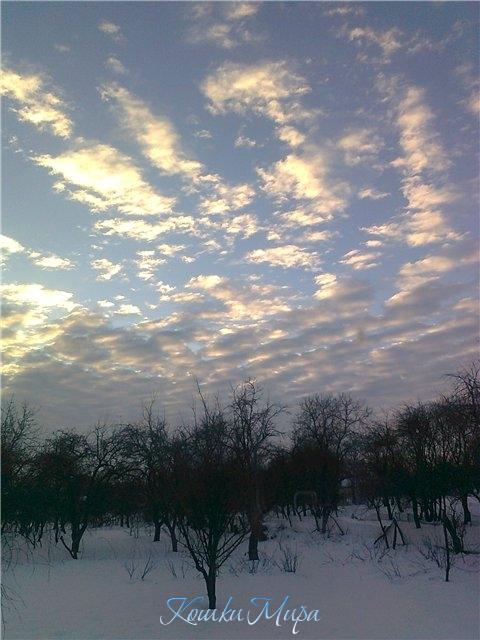 Зимнее небо