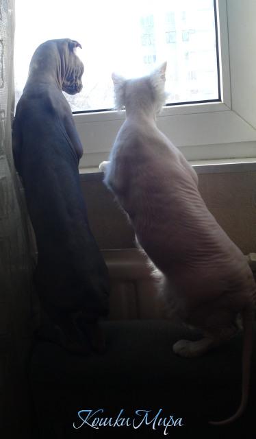 Ну где ты, Весна, ау?