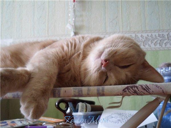 Счастье спит, оно устало...