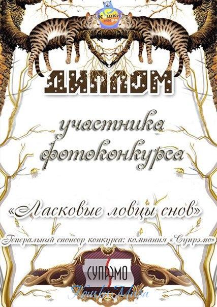 Диплом участника фотоконкурса «Ласковые ловцы снов»