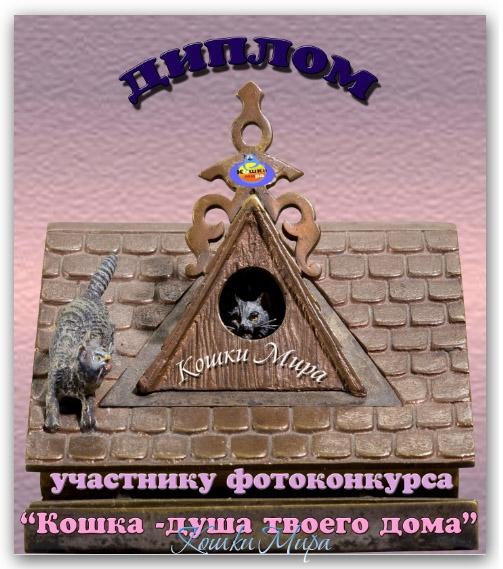 Диплом участника фотоконкурса «Кошка - душа твоего дома»