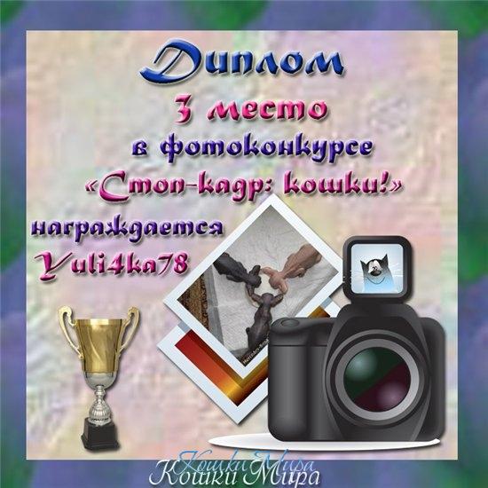 Диплом 3 место