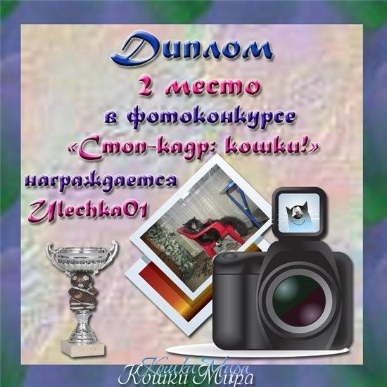 Диплом 2 место