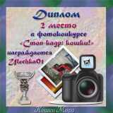 Диплом 2 место