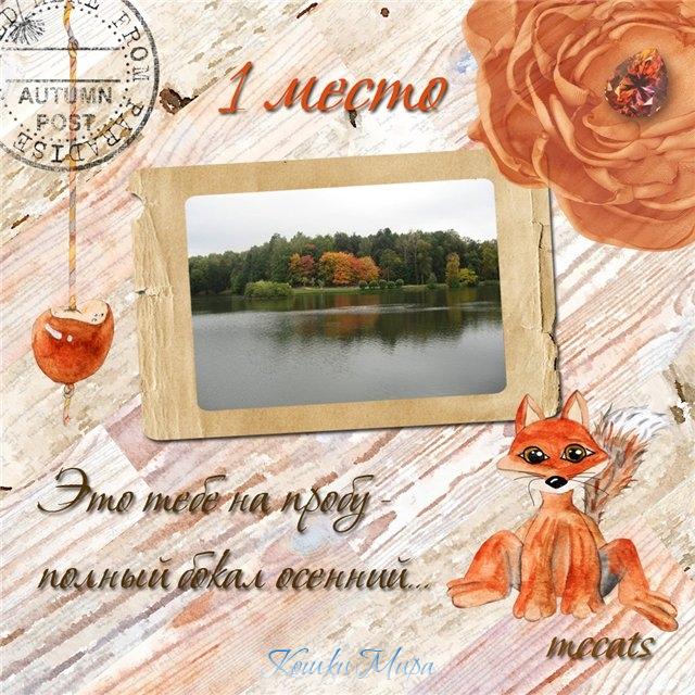 Диплом 1 место