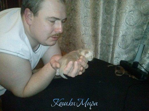 моя прелесть
