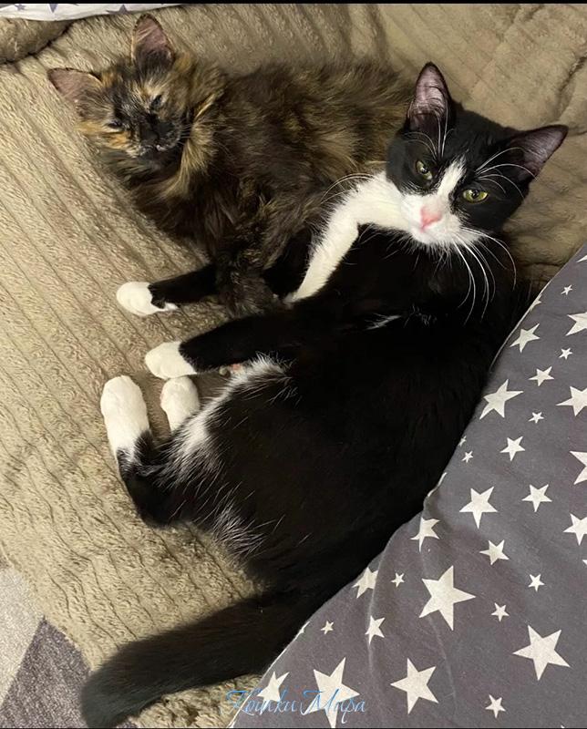 Наше кресло-кровать