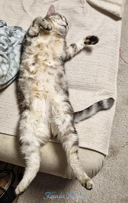 Территория захвачена. Переговоры не ведутся.