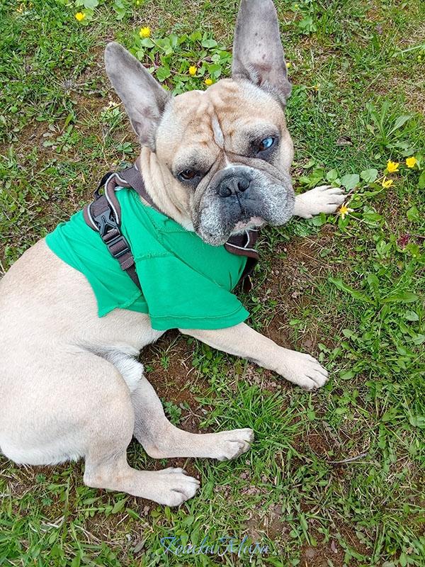 Да, я здесь главный. Что‑то не нравится?