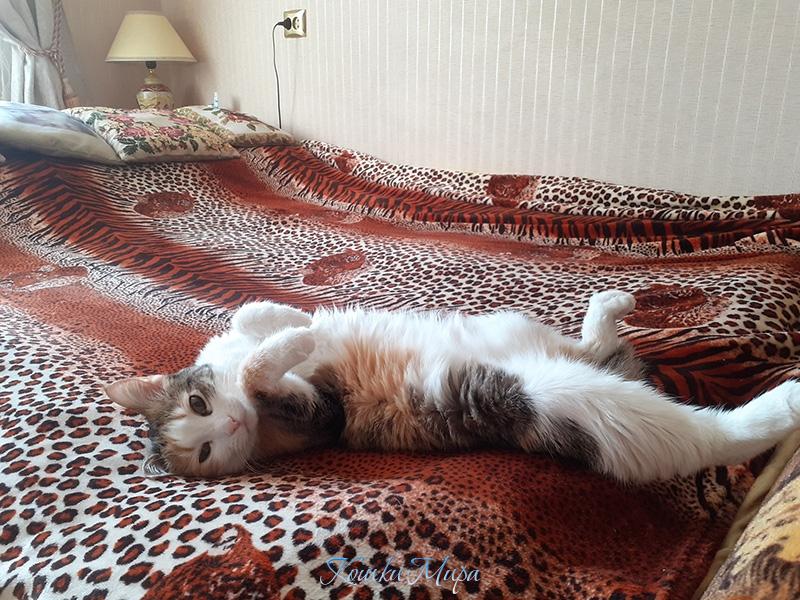 - Мама, тебе пора на работу.., а Мусенька будет отдыхать